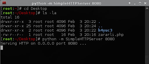 simplehttpsrv