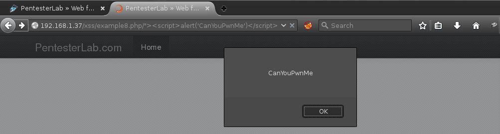xss8-5