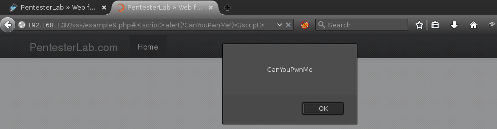 xss9-4