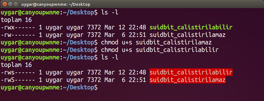 suidbit