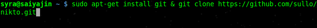 download git & nikto