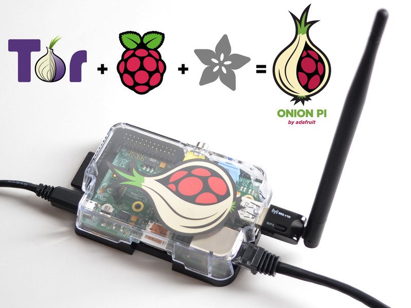 raspberry onion pi