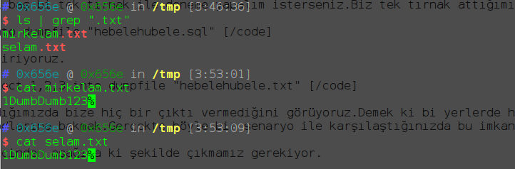 resim3