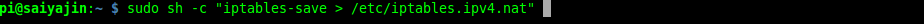 iptables_save