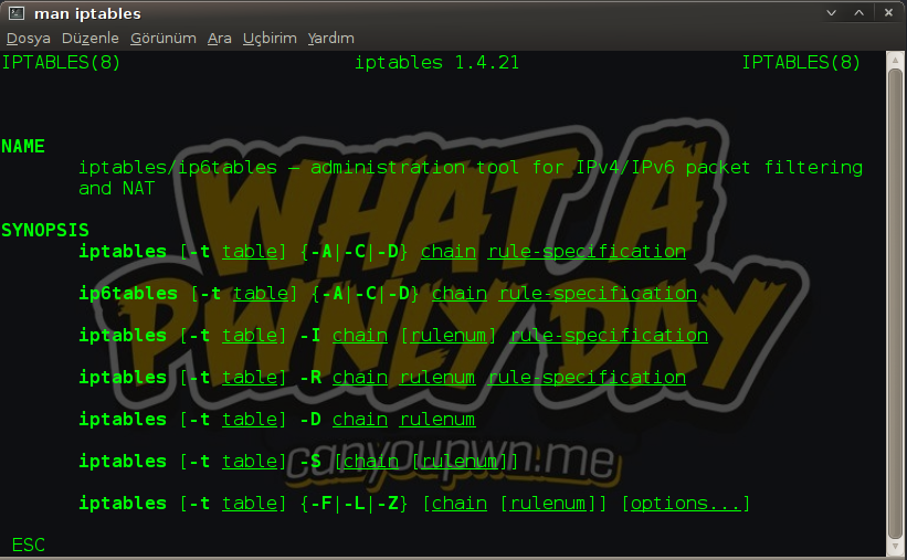 iptables