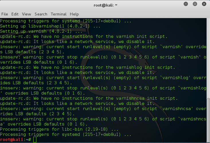 varnish-11