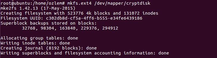 ext4-disk