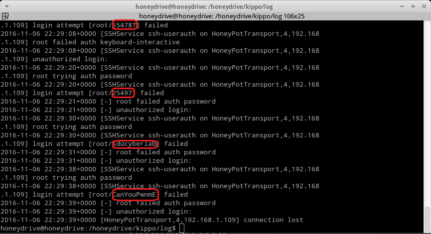 honeypot-11