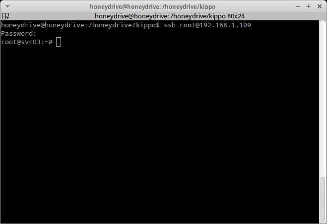 honeypot-12
