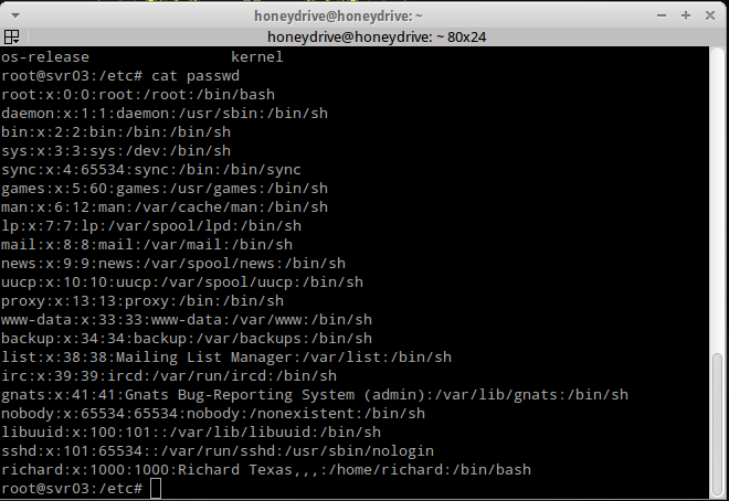 honeypot-13
