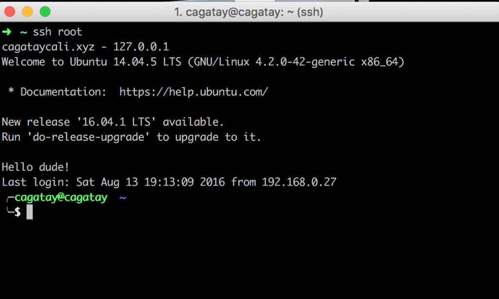 Screen Shot 2016-08-13 at 12.42.22
