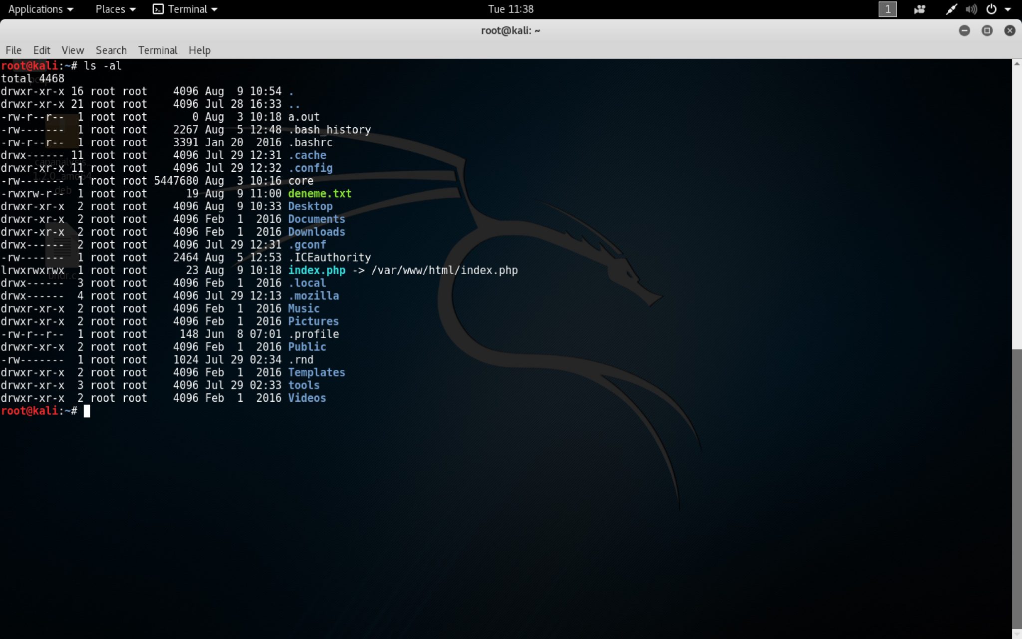 linux-dosya-ve-dizi-güvenliği-1